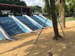 -宝安西湾红树林湿地公园