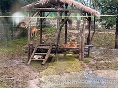 -西安秦岭野生动物园