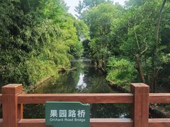 -上海滨江森林公园