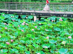 -沐仙湖湿地公园