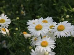 -西湖风景区-江洋畈生态公园