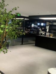 -付军剪艺JF ProSalon