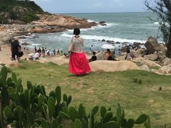-广东惠东海龟国家级自然保护区