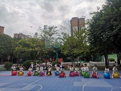 -加蒙特森林幼儿园(广州市增城区店)