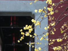 -钱王祠