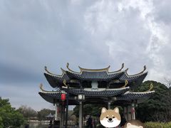 -江心屿景区