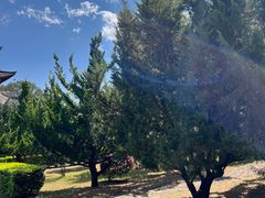 -天龙八部武侠城