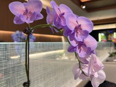 -美达尔烧烤海鲜家常菜(泰山路店)