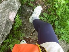 -王顺山国家森林公园