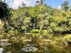 -中国科学院西双版纳热带植物园