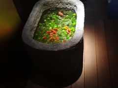 -觀芷隐轩