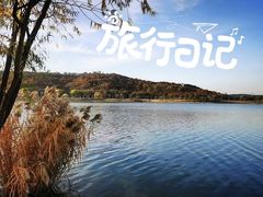 -羊山湖公园