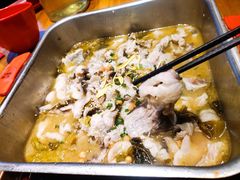 -舒来喜鱼锅(伊河路店)