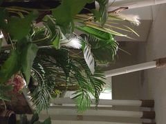 -北里·4k影院式足疗SPA馆(观音桥店)