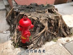 -荔湾湖公园