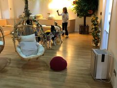 -Husky Go! 哈士奇体验馆·宠物咖啡厅狗咖