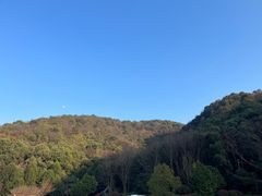 -桃花岭景区