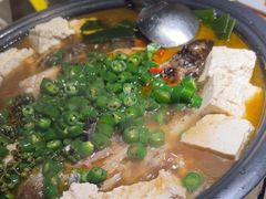 -探鱼·鲜青椒爽麻烤鱼(北京路天河城店)