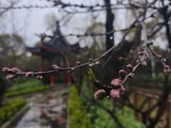 -南汇桃花村