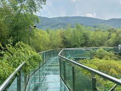-陶祖圣境风景区