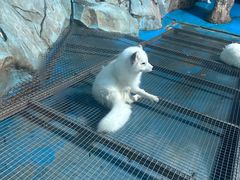 -泉城欧乐堡海洋极地世界