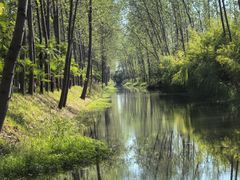 -合肥滨湖国家森林公园