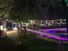 -枫花园汽车电影院(朝阳公园店)