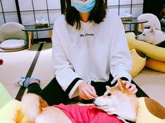 -逗柴咖啡屋·狗咖猫咖宠物桌游