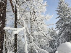 -雪谷