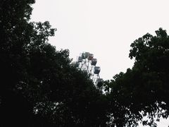 -温州乐园