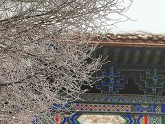 -水磨沟公园