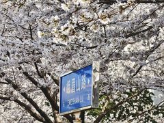 -江南大学(蠡湖校区)