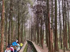 -宾果蒙特梭利托育儿童之家幼儿园(爱琴海店)