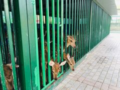 -中华郡温泉