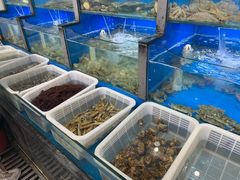 水产区-桔子海鲜烧烤大排档(金沙滩店)