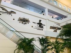 -厦门高崎国际机场-T3航站楼