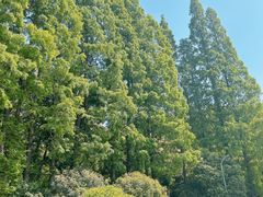 -宁波市保国寺古建筑博物馆