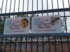 -昆明动物园