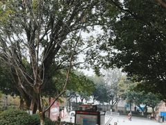 -重庆平顶山公园