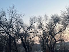 -长春净月潭风景名胜区