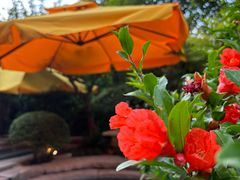 -西安华清御汤酒店