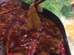 -杨家火锅(国美店)