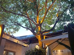 -小喜客·云南特色菜(纳西庭院店)
