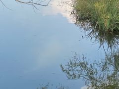 -苏州太湖国家湿地公园