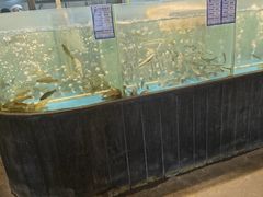 -丹江渔村(首都机场店)