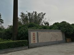 -大屏嶂森林公园