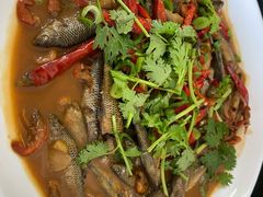 -黄牛肉馆·皖南土菜