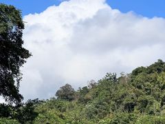 -野象谷景区