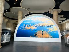 -盐城丹顶鹤湿地生态旅游区