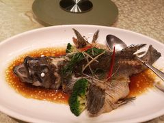 -绿岛国际酒店·海鲜酒楼(八七路店)